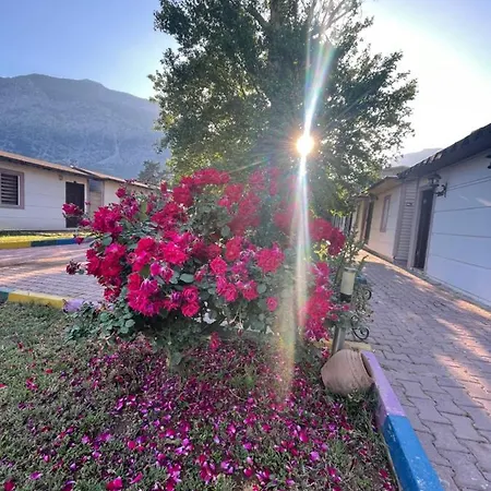 Otel ıpsos Beldıbı 3*
